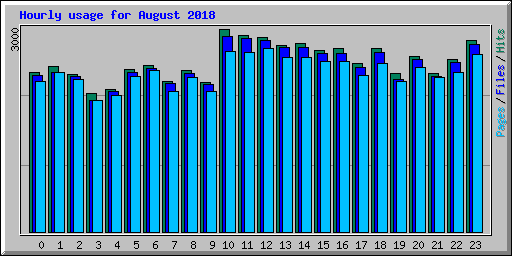 Hourly usage for August 2018