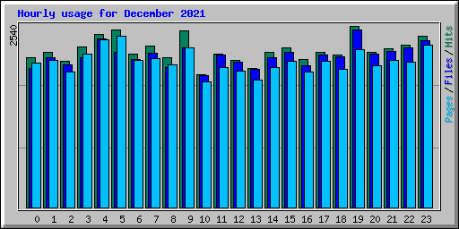 Hourly usage for December 2021