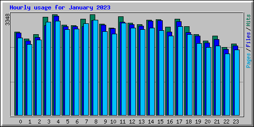 Hourly usage for January 2023