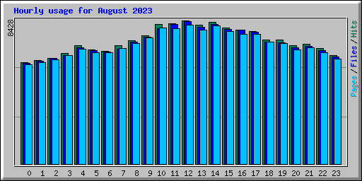 Hourly usage for August 2023