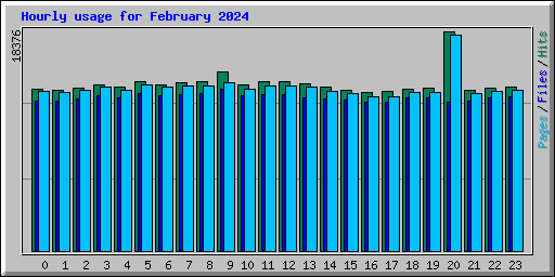 Hourly usage for February 2024