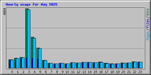 Hourly usage for May 2025