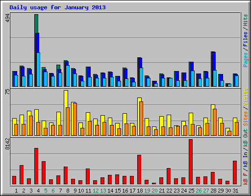 Daily usage for January 2013