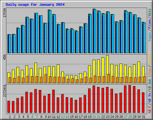 Daily usage for January 2024