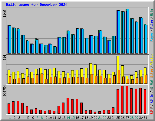 Daily usage for December 2024