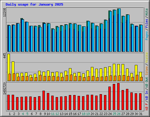 Daily usage for January 2025