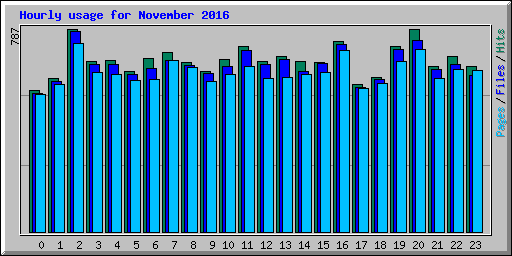Hourly usage for November 2016