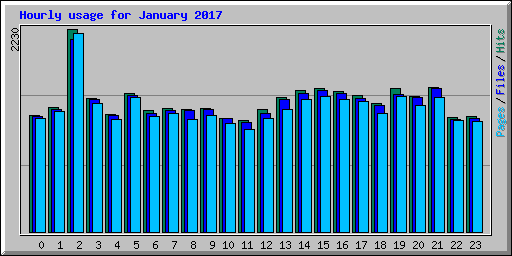 Hourly usage for January 2017