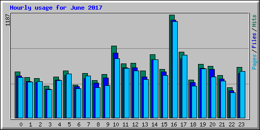 Hourly usage for June 2017