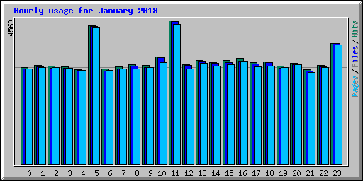 Hourly usage for January 2018