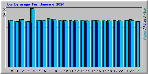 Hourly usage for January 2024