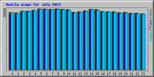 Hourly usage for July 2024