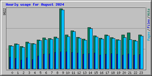 Hourly usage for August 2024