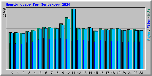 Hourly usage for September 2024