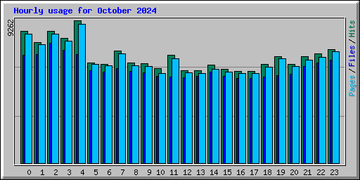 Hourly usage for October 2024