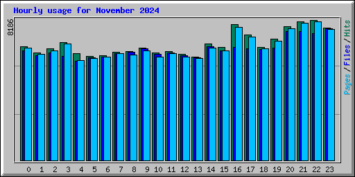 Hourly usage for November 2024
