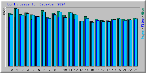 Hourly usage for December 2024