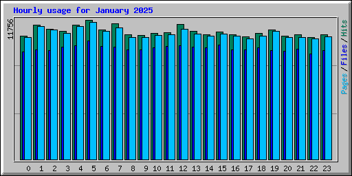 Hourly usage for January 2025