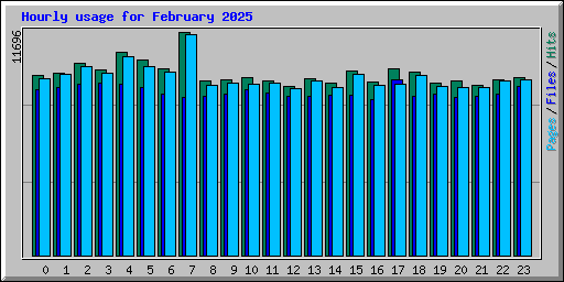Hourly usage for February 2025
