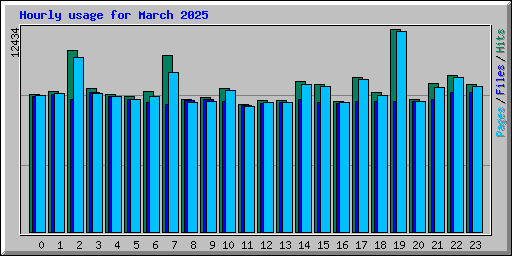 Hourly usage for March 2025