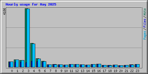 Hourly usage for May 2025